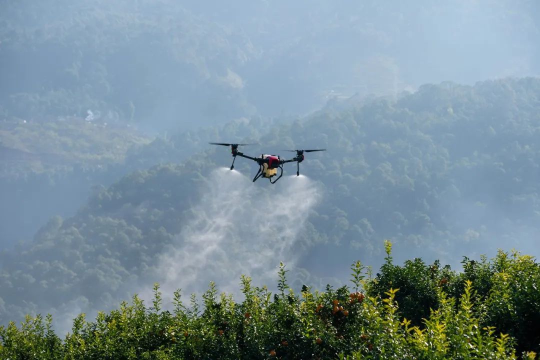 全球鷹無人機機構